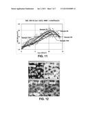 ABRASIVE ARTICLE INCLUDING SHAPED ABRASIVE PARTICLES diagram and image