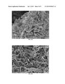 SYNTHESIS OF ZSM-48 CRYSTALS diagram and image