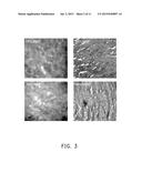 POLYELECTROLYTE AND ENERGY STORAGE DEVICE diagram and image