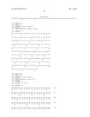 MUTATED GENES FOR THE CATALYTIC PROTEIN OF OPLOPHORUS LUCIFERASE AND USE     THEREOF diagram and image