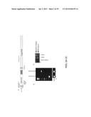 USE OF COX-3 BINDING MOLECULES FOR MODULATING AUTOPHAGY diagram and image