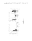 USE OF COX-3 BINDING MOLECULES FOR MODULATING AUTOPHAGY diagram and image