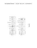 USE OF COX-3 BINDING MOLECULES FOR MODULATING AUTOPHAGY diagram and image