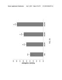 USE OF COX-3 BINDING MOLECULES FOR MODULATING AUTOPHAGY diagram and image