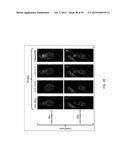 USE OF COX-3 BINDING MOLECULES FOR MODULATING AUTOPHAGY diagram and image