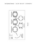 USE OF COX-3 BINDING MOLECULES FOR MODULATING AUTOPHAGY diagram and image