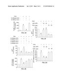 Antisense Oligonucleotides Against Neutral Sphingomyelinase and Neutral     Sphingomyelinase Inhibitor GW4869 for Degenerative Neurological Disorders diagram and image