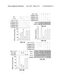 Antisense Oligonucleotides Against Neutral Sphingomyelinase and Neutral     Sphingomyelinase Inhibitor GW4869 for Degenerative Neurological Disorders diagram and image