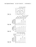 Antisense Oligonucleotides Against Neutral Sphingomyelinase and Neutral     Sphingomyelinase Inhibitor GW4869 for Degenerative Neurological Disorders diagram and image