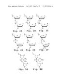 IMMUNOSUPPRESSION COMPOUND AND TREATMENT METHOD diagram and image