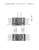 IMMUNOSUPPRESSION COMPOUND AND TREATMENT METHOD diagram and image