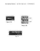 IMMUNOSUPPRESSION COMPOUND AND TREATMENT METHOD diagram and image