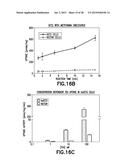 Consumable Cryopreserved Cells Transiently Overexpressing Gene(s) Encoding     Drug Transporter Protein(s) and/or Drug Metabolizing Enzyme(s) diagram and image