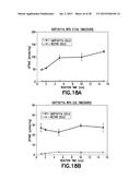 Consumable Cryopreserved Cells Transiently Overexpressing Gene(s) Encoding     Drug Transporter Protein(s) and/or Drug Metabolizing Enzyme(s) diagram and image