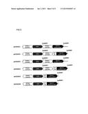 METHOD FOR PRODUCING METHACRYLIC ACID ESTER diagram and image