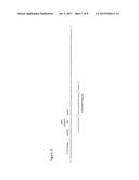 ENRICHMENT OF FULL LENGTH OLIGONUCLEOTIDES VIA TRANSCRIPTION/TRANSLATION     MEDIATED PURIFICATION diagram and image