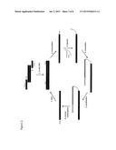 ENRICHMENT OF FULL LENGTH OLIGONUCLEOTIDES VIA TRANSCRIPTION/TRANSLATION     MEDIATED PURIFICATION diagram and image