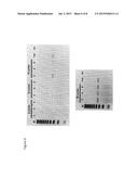 ENRICHMENT OF FULL LENGTH OLIGONUCLEOTIDES VIA TRANSCRIPTION/TRANSLATION     MEDIATED PURIFICATION diagram and image