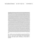 DEVELOPMENT OF THE SOLUBLE RECOMBINANT CRM197 PRODUCTION BY E. COLI diagram and image