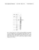 DEVELOPMENT OF THE SOLUBLE RECOMBINANT CRM197 PRODUCTION BY E. COLI diagram and image