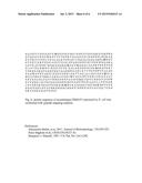 DEVELOPMENT OF THE SOLUBLE RECOMBINANT CRM197 PRODUCTION BY E. COLI diagram and image