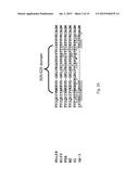 Polymerases for Nucleotide Analogue Incorporation diagram and image