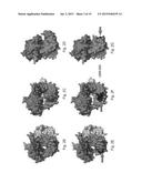 Polymerases for Nucleotide Analogue Incorporation diagram and image