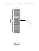 Polymerases for Nucleotide Analogue Incorporation diagram and image