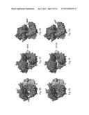 Polymerases for Nucleotide Analogue Incorporation diagram and image