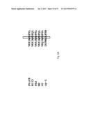 Polymerases for Nucleotide Analogue Incorporation diagram and image