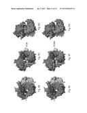 Polymerases for Nucleotide Analogue Incorporation diagram and image