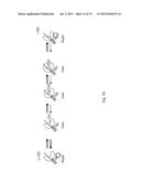 Polymerases for Nucleotide Analogue Incorporation diagram and image