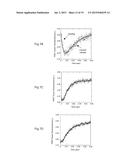 Polymerases for Nucleotide Analogue Incorporation diagram and image