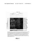 Biomarkers for Anti-TNF Treatment in Ulcerative Colitis and Related     Disorders diagram and image