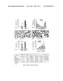 NUCLEOPHOSMIN PROTEIN (NPM) MUTANTS, CORRESPONDING GENE SEQUENCES AND USES     THEREOF diagram and image