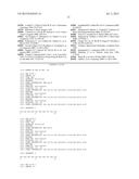 NUCLEOPHOSMIN PROTEIN (NPM) MUTANTS, CORRESPONDING GENE SEQUENCES AND USES     THEREOF diagram and image