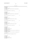 NUCLEOPHOSMIN PROTEIN (NPM) MUTANTS, CORRESPONDING GENE SEQUENCES AND USES     THEREOF diagram and image