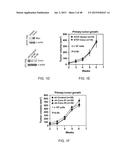 GENE EXPRESSION PROFILES ASSOCIATED WITH METASTATIC BREAST CANCER diagram and image