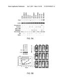 GENE EXPRESSION PROFILES ASSOCIATED WITH METASTATIC BREAST CANCER diagram and image