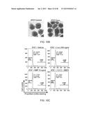 GENE EXPRESSION PROFILES ASSOCIATED WITH METASTATIC BREAST CANCER diagram and image