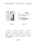 GENE EXPRESSION PROFILES ASSOCIATED WITH METASTATIC BREAST CANCER diagram and image