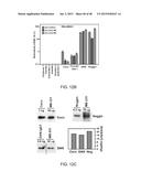 GENE EXPRESSION PROFILES ASSOCIATED WITH METASTATIC BREAST CANCER diagram and image