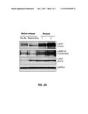 MUTATIONS ASSOCIATED WITH RESISTANCE TO INHIBITORS OF BRUTON S TYROSINE     KINASE (BTK) diagram and image