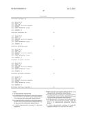 KRAS PRIMERS AND PROBES diagram and image