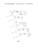 DETECTION OF NUCLEIC ACID LESIONS AND ADDUCTS USING NANOPORES diagram and image