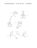 DETECTION OF NUCLEIC ACID LESIONS AND ADDUCTS USING NANOPORES diagram and image