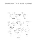 DETECTION OF NUCLEIC ACID LESIONS AND ADDUCTS USING NANOPORES diagram and image