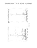 DETECTION OF NUCLEIC ACID LESIONS AND ADDUCTS USING NANOPORES diagram and image