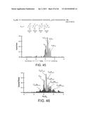 DETECTION OF NUCLEIC ACID LESIONS AND ADDUCTS USING NANOPORES diagram and image