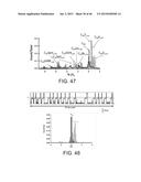 DETECTION OF NUCLEIC ACID LESIONS AND ADDUCTS USING NANOPORES diagram and image